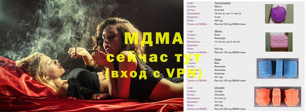 индика Богородицк