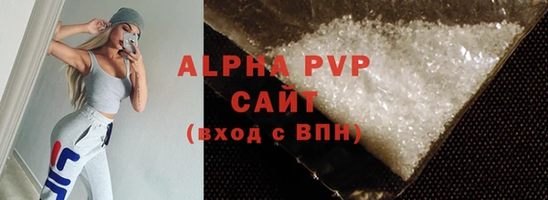 индика Богородицк