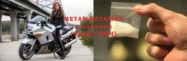 индика Богородицк