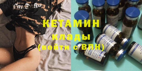 индика Богородицк