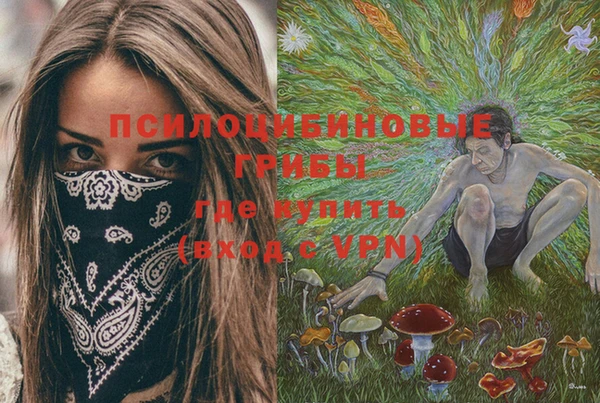 каннабис Белокуриха