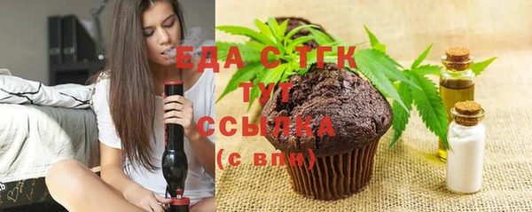 индика Богородицк