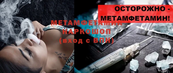 индика Богородицк