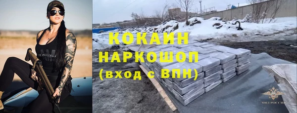 индика Богородицк