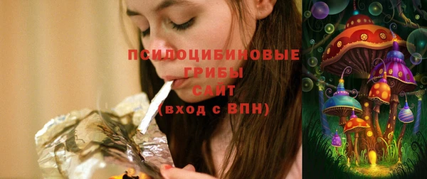амф Богородск